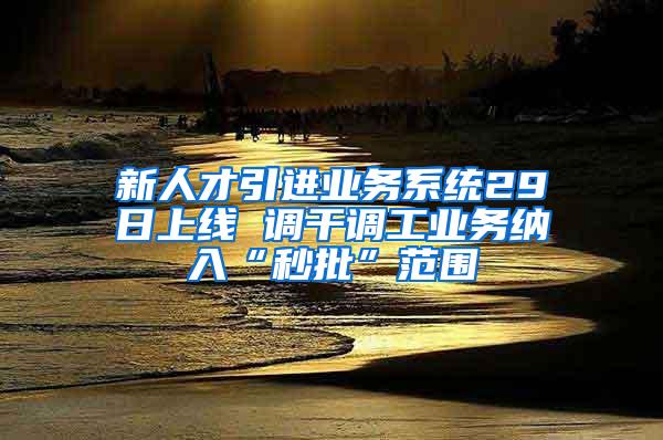 新人才引进业务系统29日上线 调干调工业务纳入“秒批”范围