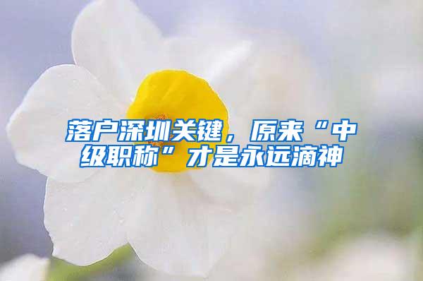 落户深圳关键，原来“中级职称”才是永远滴神