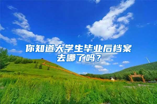 你知道大学生毕业后档案去哪了吗？