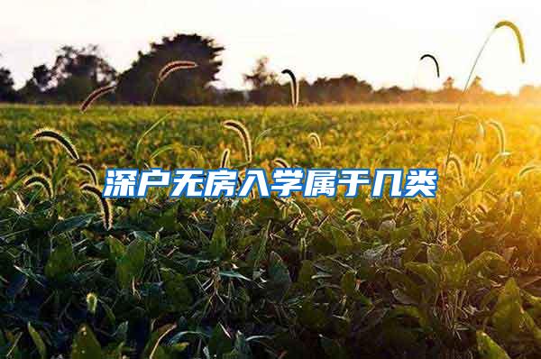 深户无房入学属于几类