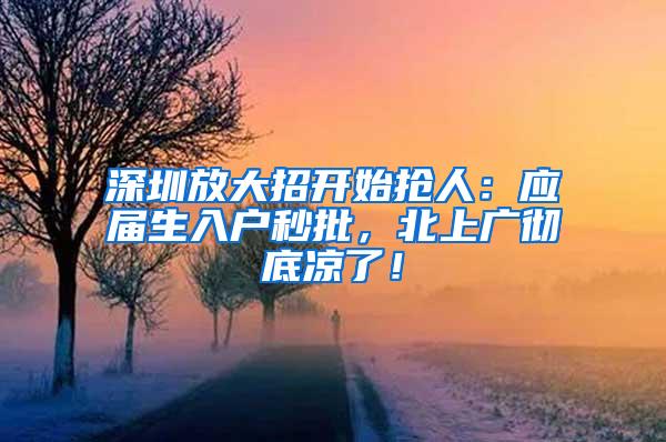 深圳放大招开始抢人：应届生入户秒批，北上广彻底凉了！