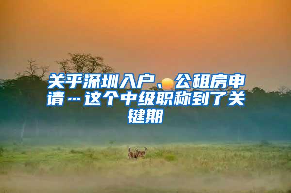 关乎深圳入户、公租房申请…这个中级职称到了关键期