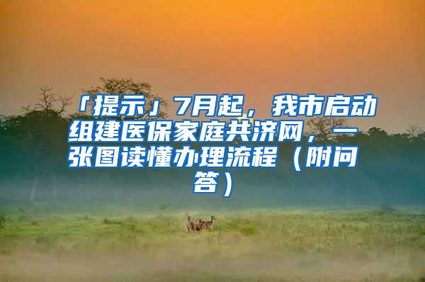 「提示」7月起，我市启动组建医保家庭共济网，一张图读懂办理流程（附问答）