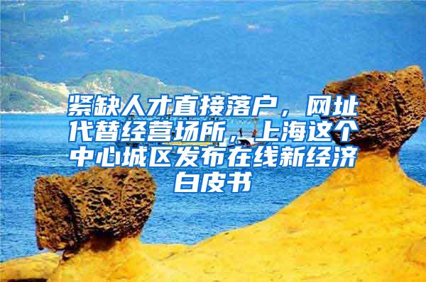 紧缺人才直接落户，网址代替经营场所，上海这个中心城区发布在线新经济白皮书