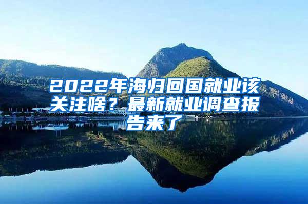 2022年海归回国就业该关注啥？最新就业调查报告来了