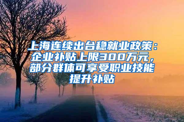 上海连续出台稳就业政策：企业补贴上限300万元，部分群体可享受职业技能提升补贴