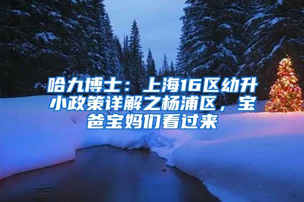 哈九博士：上海16区幼升小政策详解之杨浦区，宝爸宝妈们看过来