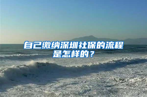 自己缴纳深圳社保的流程是怎样的？