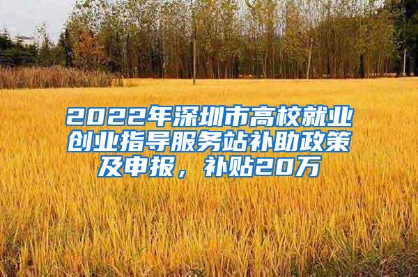 2022年深圳市高校就业创业指导服务站补助政策及申报，补贴20万