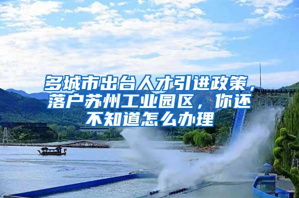 多城市出台人才引进政策，落户苏州工业园区，你还不知道怎么办理