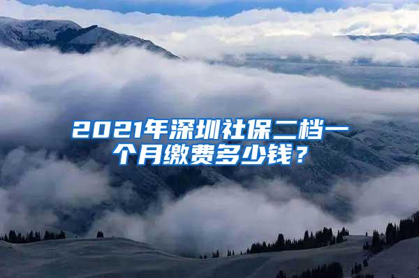 2021年深圳社保二档一个月缴费多少钱？