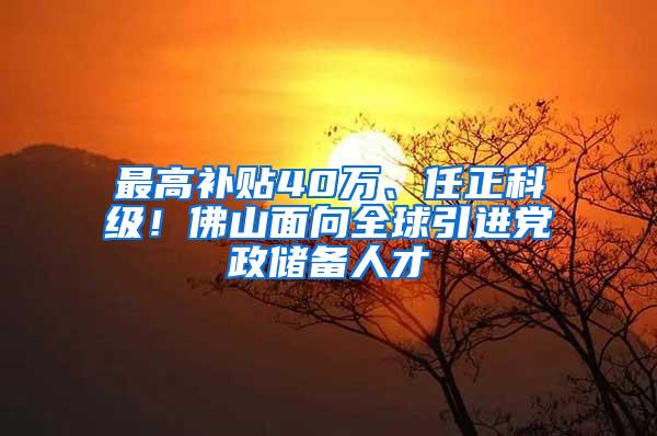 最高补贴40万、任正科级！佛山面向全球引进党政储备人才