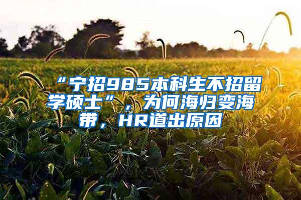 “宁招985本科生不招留学硕士”，为何海归变海带，HR道出原因