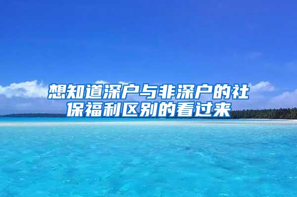 想知道深户与非深户的社保福利区别的看过来