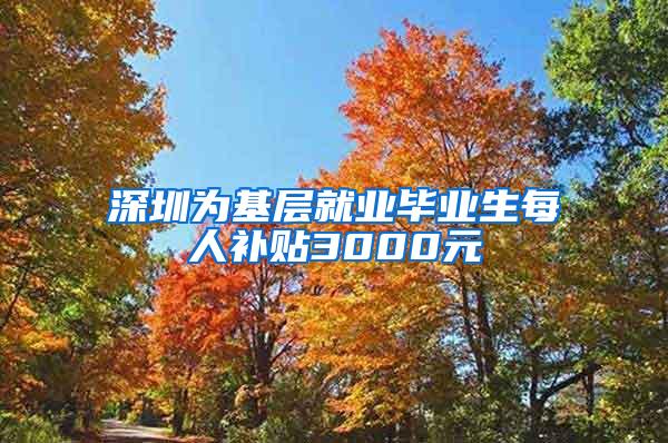 深圳为基层就业毕业生每人补贴3000元