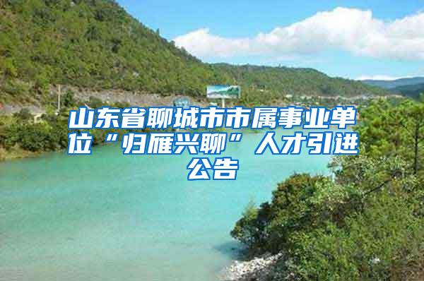 山东省聊城市市属事业单位“归雁兴聊”人才引进公告