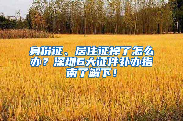 身份证、居住证掉了怎么办？深圳6大证件补办指南了解下！