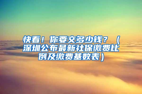 快看！你要交多少钱？（深圳公布最新社保缴费比例及缴费基数表）