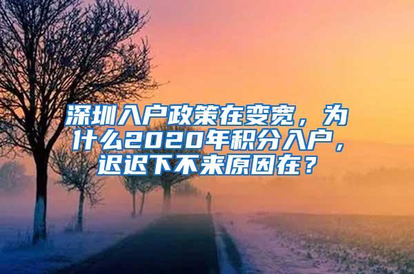 深圳入户政策在变宽，为什么2020年积分入户，迟迟下不来原因在？