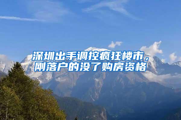 深圳出手调控疯狂楼市，刚落户的没了购房资格