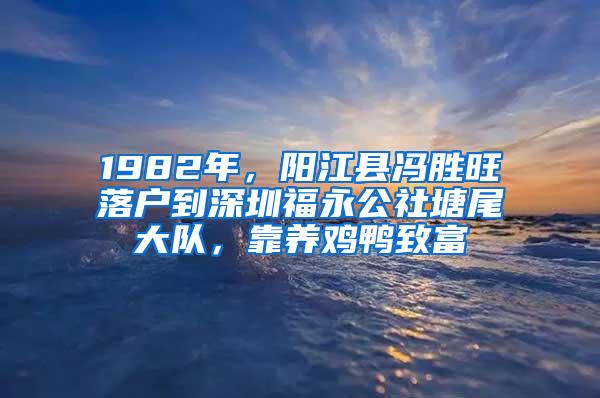 1982年，阳江县冯胜旺落户到深圳福永公社塘尾大队，靠养鸡鸭致富