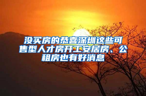 没买房的恭喜深圳这些可售型人才房开工安居房、公租房也有好消息