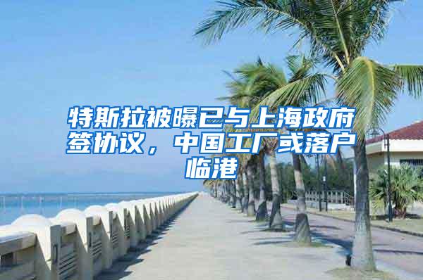 特斯拉被曝已与上海政府签协议，中国工厂或落户临港