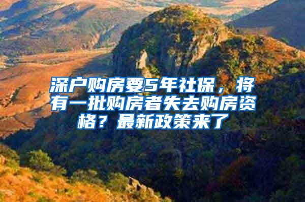 深户购房要5年社保，将有一批购房者失去购房资格？最新政策来了