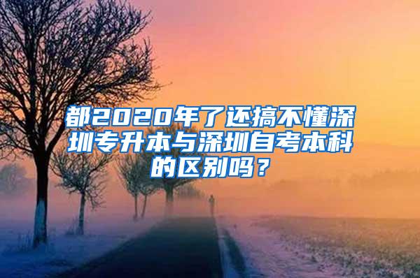 都2020年了还搞不懂深圳专升本与深圳自考本科的区别吗？