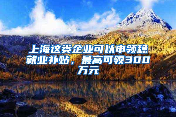 上海这类企业可以申领稳就业补贴，最高可领300万元