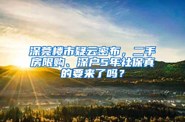 深莞楼市疑云密布，二手房限购、深户5年社保真的要来了吗？