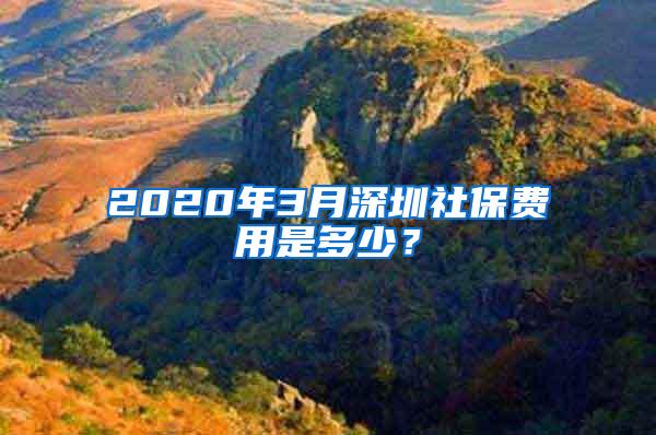 2020年3月深圳社保费用是多少？