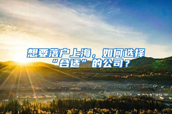 想要落户上海，如何选择“合适”的公司？