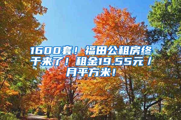 1600套！福田公租房终于来了！租金19.55元／月平方米！