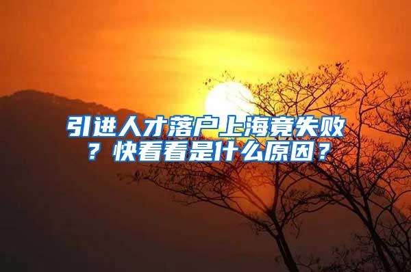 引进人才落户上海竟失败？快看看是什么原因？