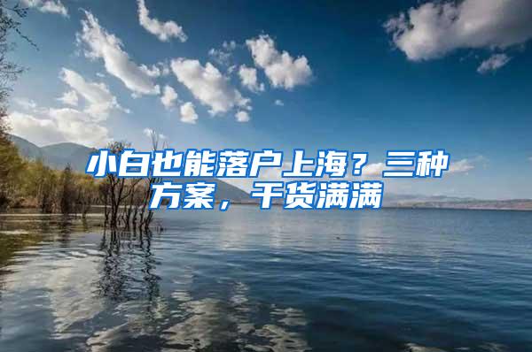 小白也能落户上海？三种方案，干货满满