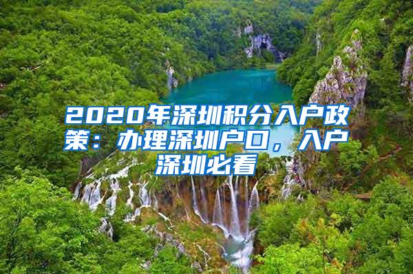 2020年深圳积分入户政策：办理深圳户口，入户深圳必看