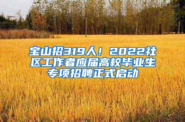 宝山招319人！2022社区工作者应届高校毕业生专项招聘正式启动