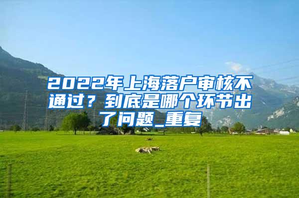 2022年上海落户审核不通过？到底是哪个环节出了问题_重复