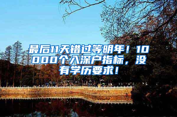 最后11天错过等明年！10000个入深户指标，没有学历要求！