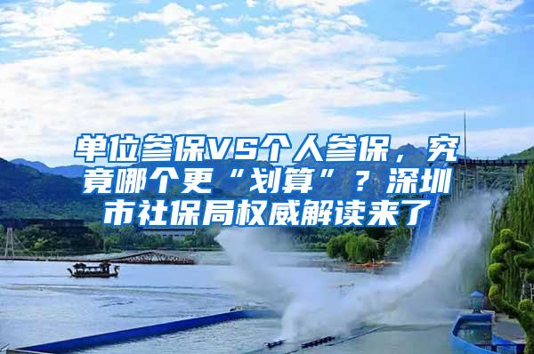 单位参保VS个人参保，究竟哪个更“划算”？深圳市社保局权威解读来了