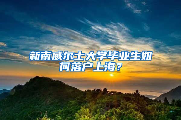 新南威尔士大学毕业生如何落户上海？