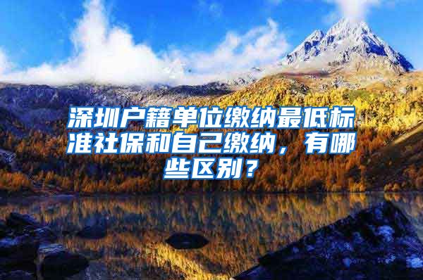 深圳户籍单位缴纳最低标准社保和自己缴纳，有哪些区别？