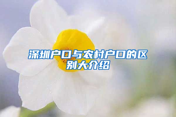 深圳户口与农村户口的区别大介绍