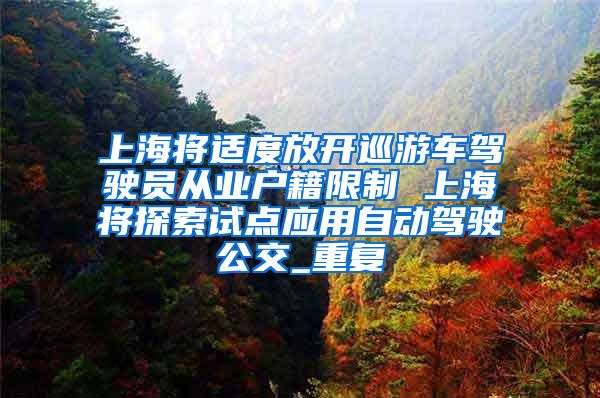 上海将适度放开巡游车驾驶员从业户籍限制 上海将探索试点应用自动驾驶公交_重复