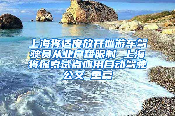 上海将适度放开巡游车驾驶员从业户籍限制 上海将探索试点应用自动驾驶公交_重复