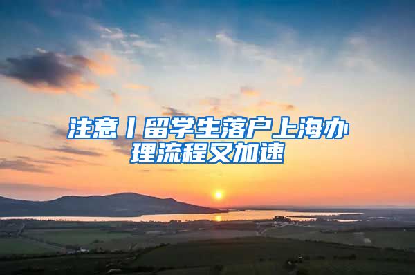 注意丨留学生落户上海办理流程又加速