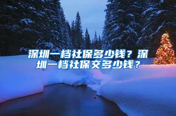 深圳一档社保多少钱？深圳一档社保交多少钱？