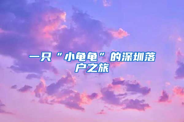 一只“小龟龟”的深圳落户之旅