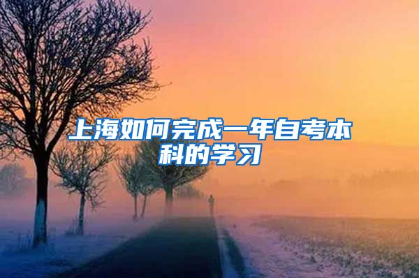 上海如何完成一年自考本科的学习